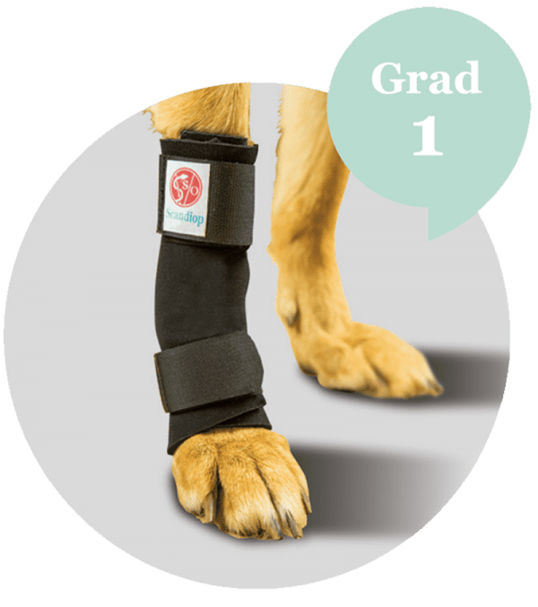 Carpal Orthosis Grade 1