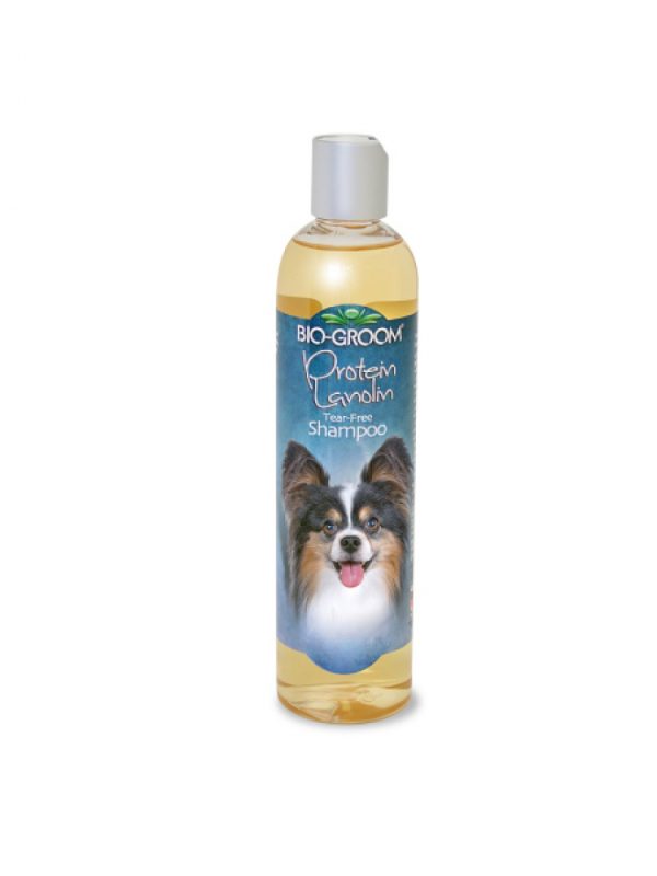 Bio Groom Protein Lanolin Shampoo