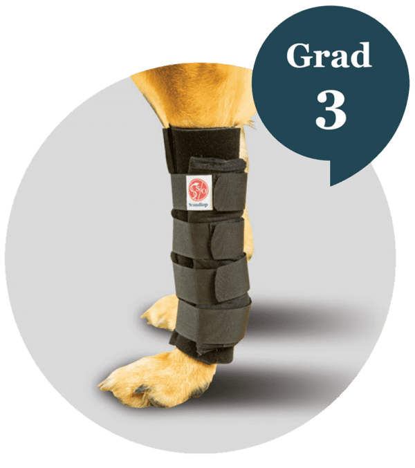 Carpal Orthosis Grade 3