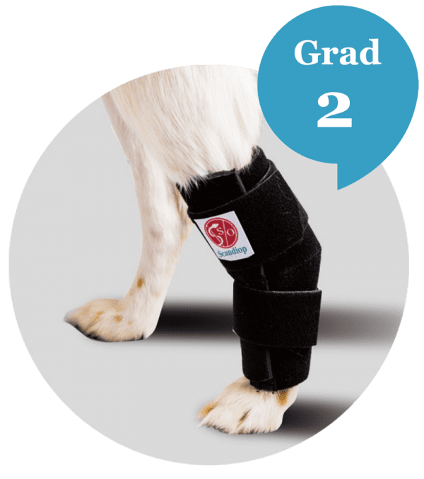 Tarsal Orthosis Grade 2