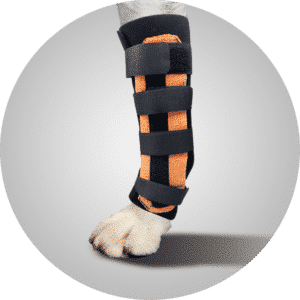 Carpal Orthosis Grade 2,5