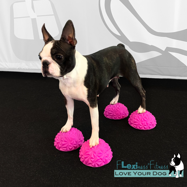 Flexiness Toypawstackers - Bilde 2