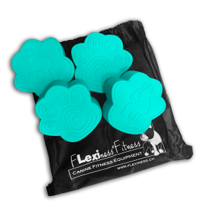 Flexiness Toypawdisc 4 stk