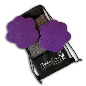 Flexiness Toypaw disc 2 stk
