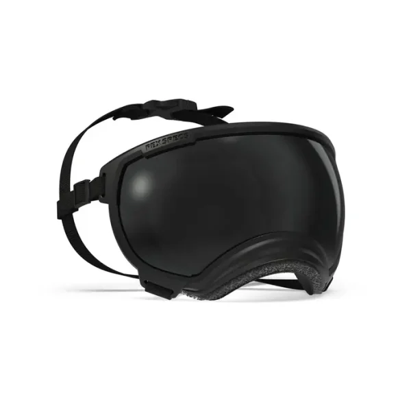 Rex Specs V2 hundebrille svart