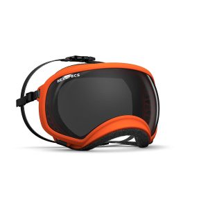 Rex Specs V2 hundebrille orange