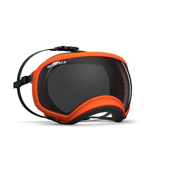 Rex Specs V2 hundebrille orange