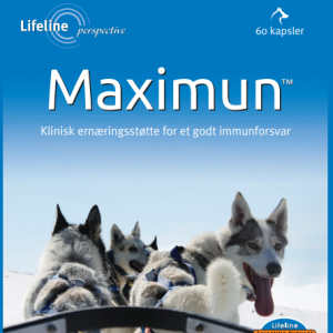 Maximun Classic